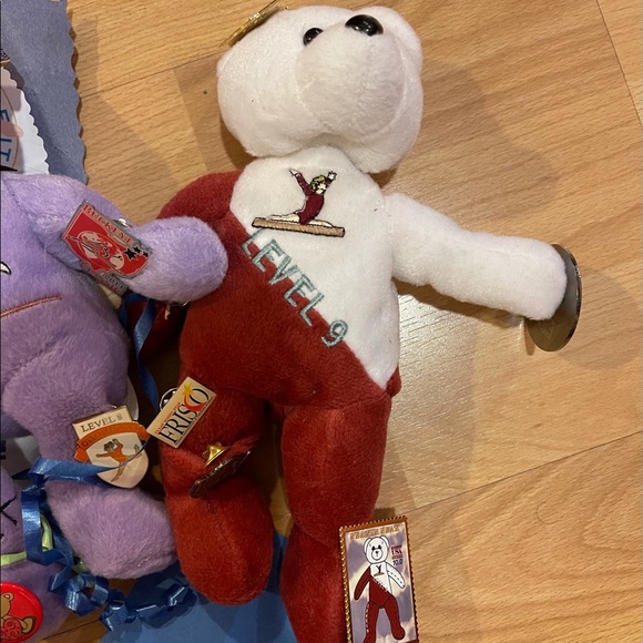 Competitive Gymnastics Level Bears - Picture 5 of 6